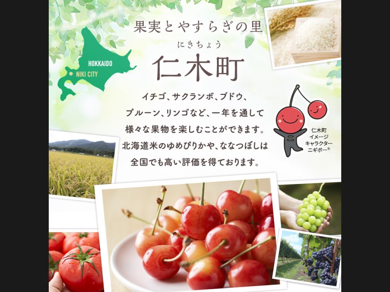 今野農園のミニトマトジュース「北の雫」710ml×3本 北海道仁木町産