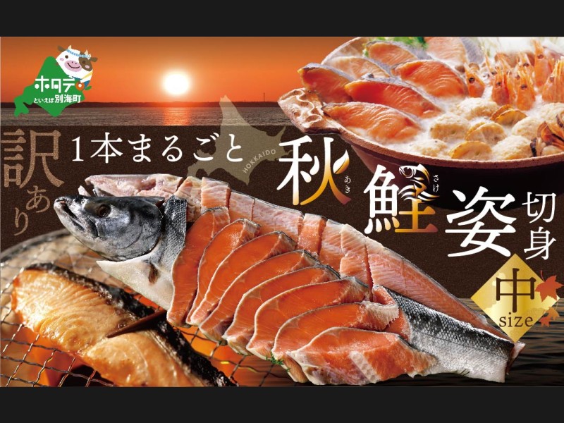 2024年10月以降発送）【訳あり】先行予約 北海道 産 秋鮭 姿 切り身 大